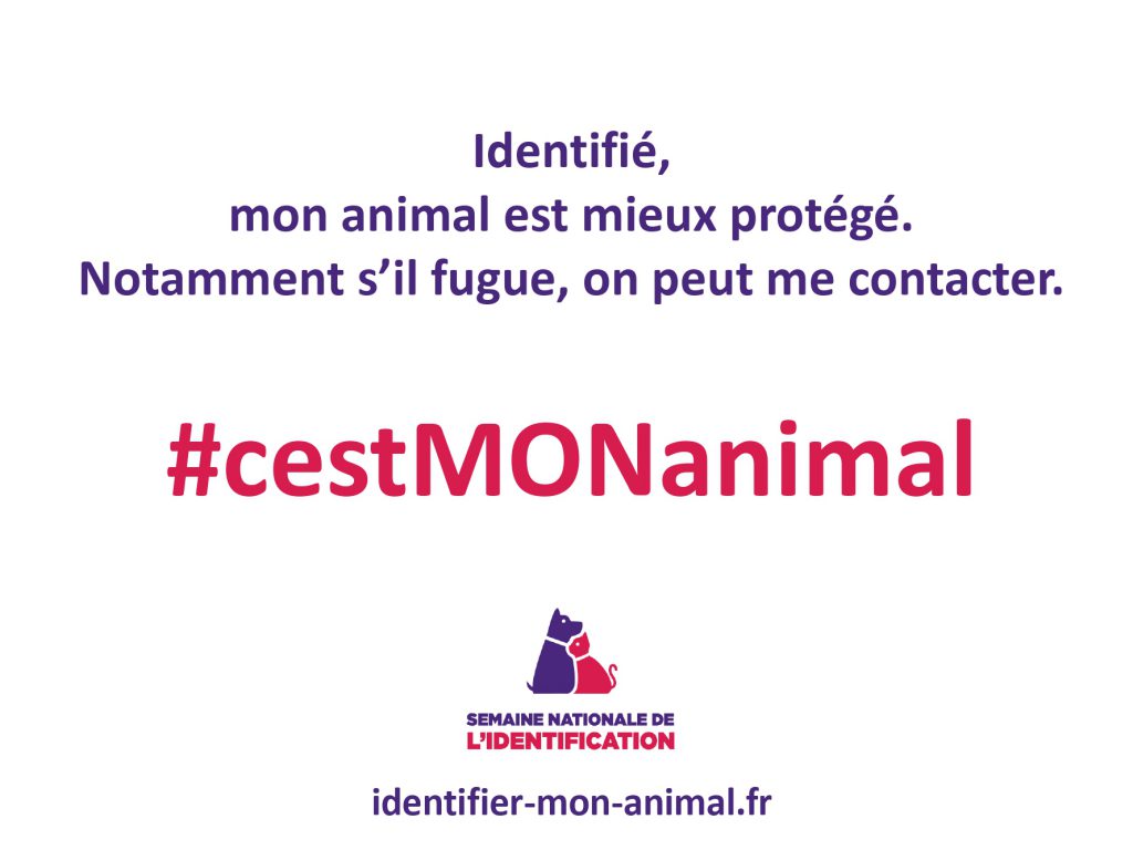 Panneau c'est mon animal