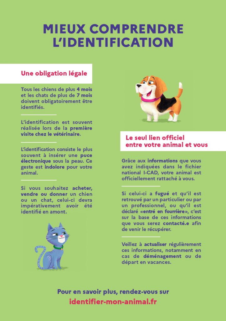 Tract Flyer Identification 2