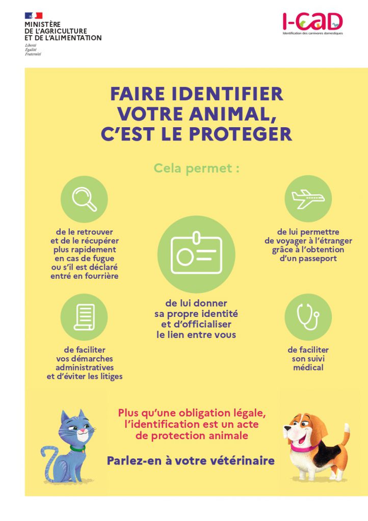 Tract Flyer Identification1