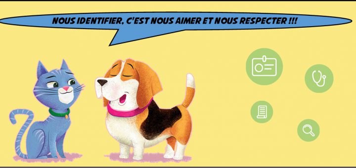 Identifier son animal